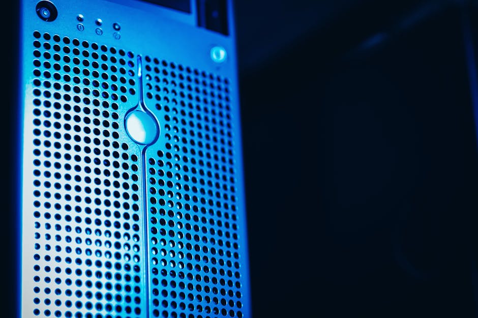 Exploring the Dynamic Landscape of Web Services