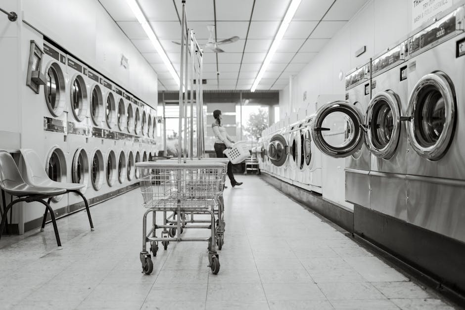 The Ultimate Guide to Choosing the Right Dryer for Your Home