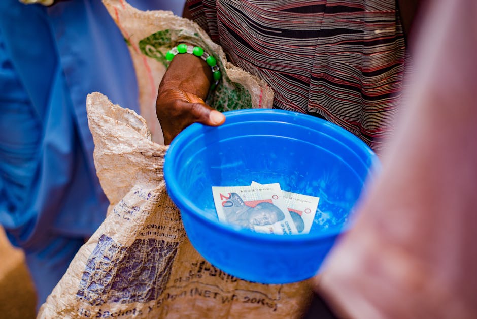 Exploring the Depths of Social Welfare: A Comprehensive Overview