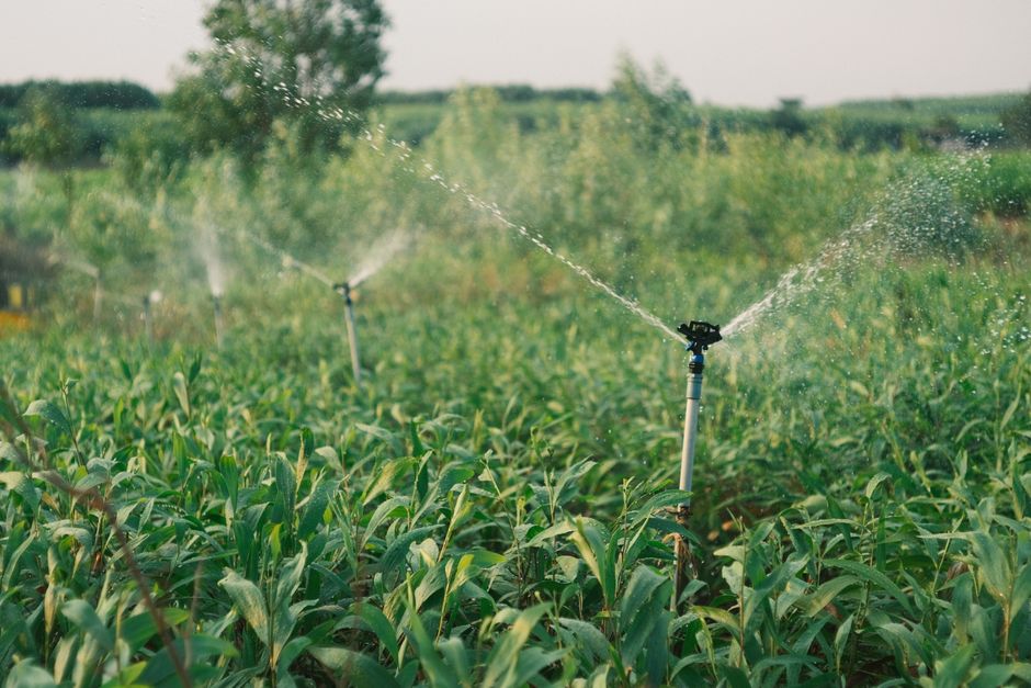 Mastering the Art of Efficient Irrigation Systems