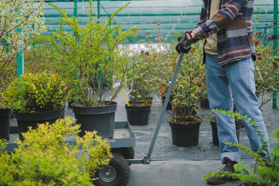 Essential Greenhouse Equipment for Optimal Plant Growth