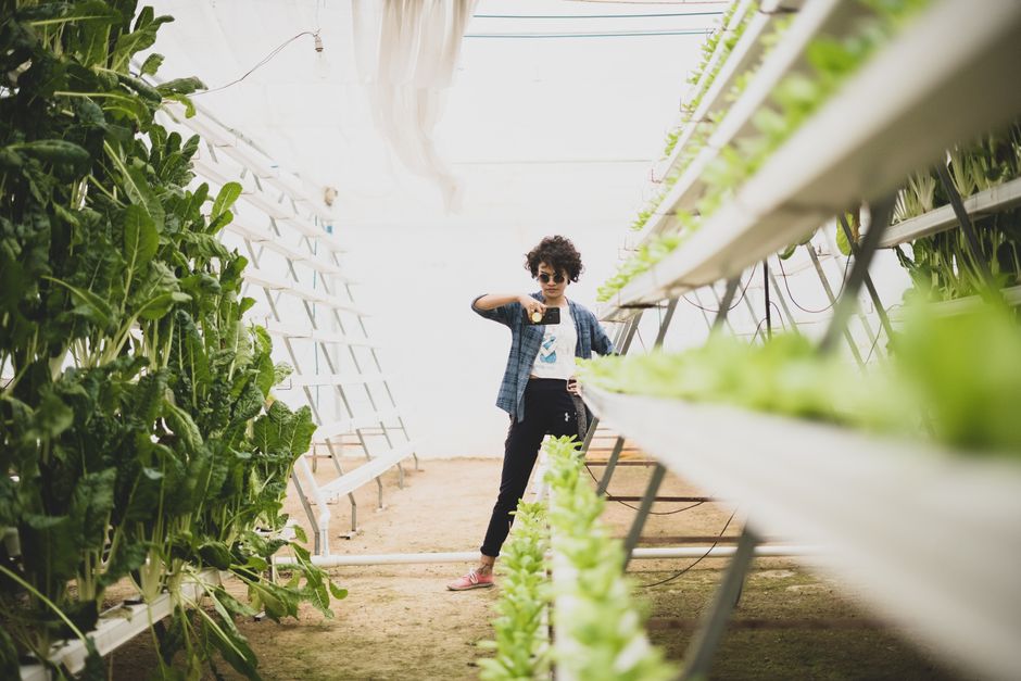 The Future of Agriculture: Exploring Vertical Farming Technology