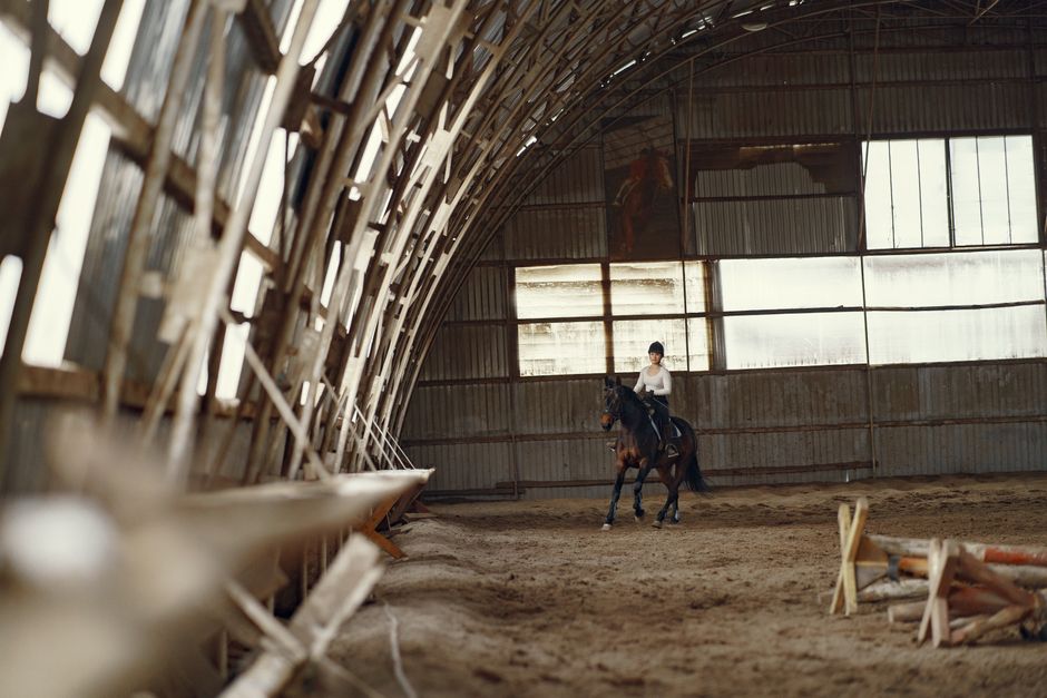 Unlocking the Joy of Riding: A Guide to Horse Riding Lessons