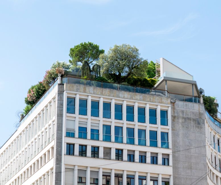 The Rise of Sustainable Architecture Firms: Building a Greener Future