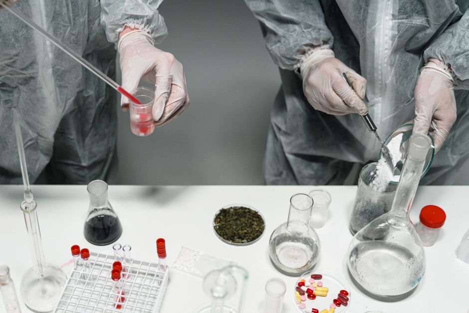 Understanding the Importance of Drug Testing Services